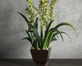 Green Potted Orchid Modello 3D