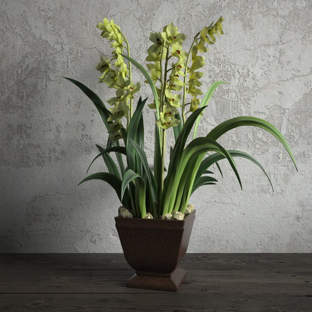 Green Potted Orchid Modèle 3D