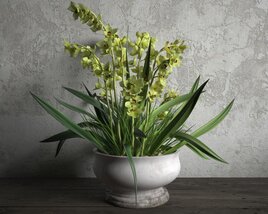 Elegant Orchid Arrangement Modello 3D