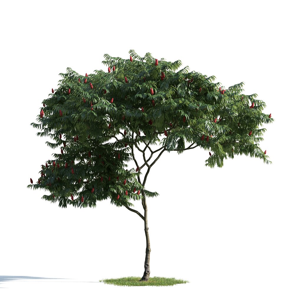 Lush Green Tree 04 3D 모델 