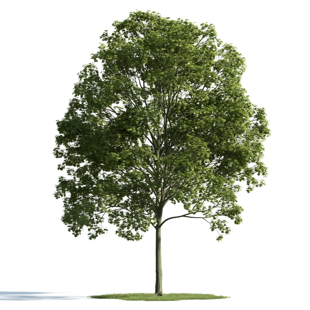 Verdant Tree 11 3D-Modell