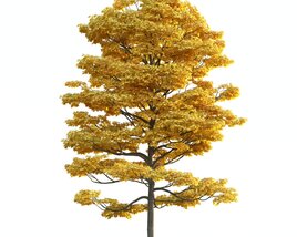 Autumn Gold Tree Modèle 3D