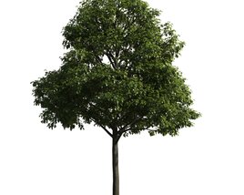 Solitary Tree 23 Modelo 3D