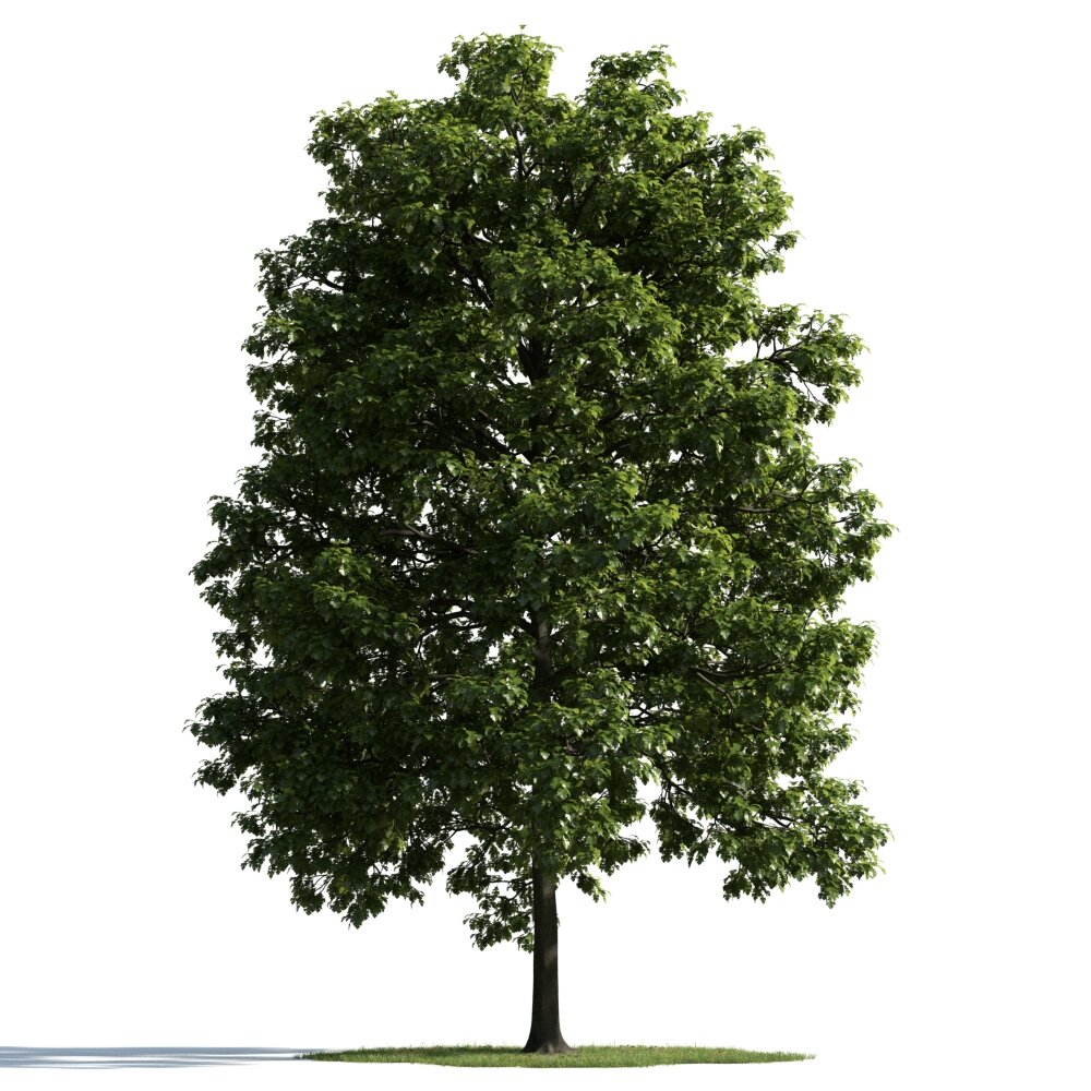 Verdant Tree 16 Modèle 3d