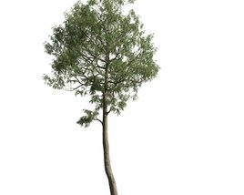 Solitary Tree 28 3D model