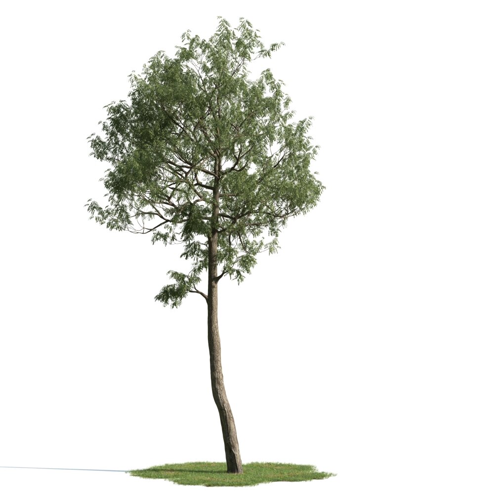Solitary Tree 28 3d model