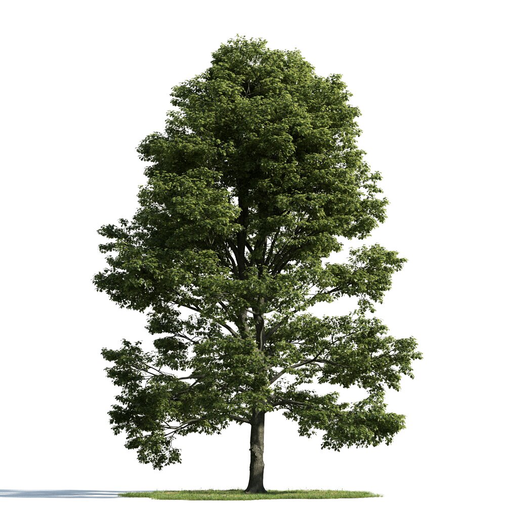 Verdant Tree 21 3d model