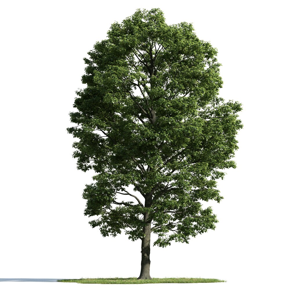 Verdant Tree 22 3d model