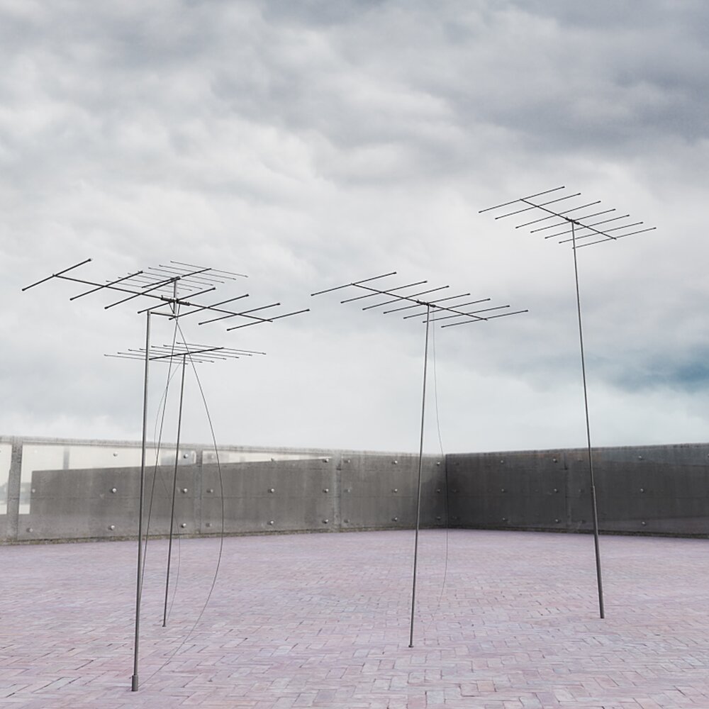 Rooftop Antennae 3D模型