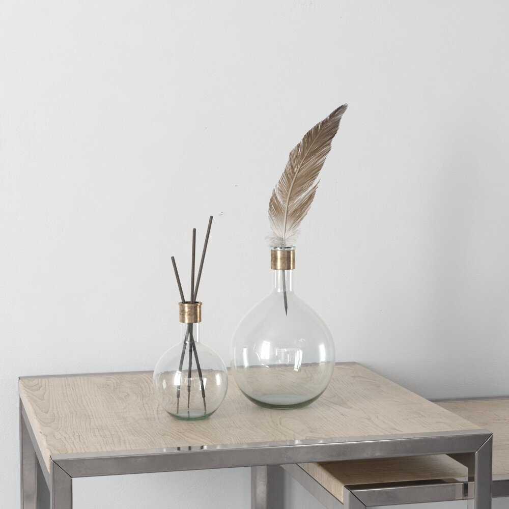 Glass Diffuser with Feather Modello 3D