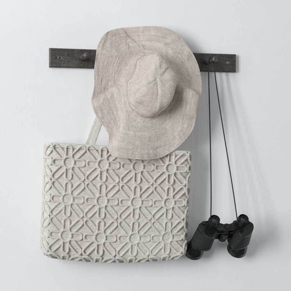 Hat and Bag on Wall Hook 3d model
