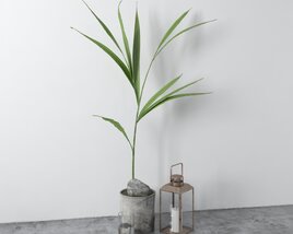 Potted Plant Decor 3D 모델 