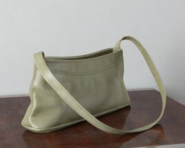 Olive Green Shoulder Bag 3D модель