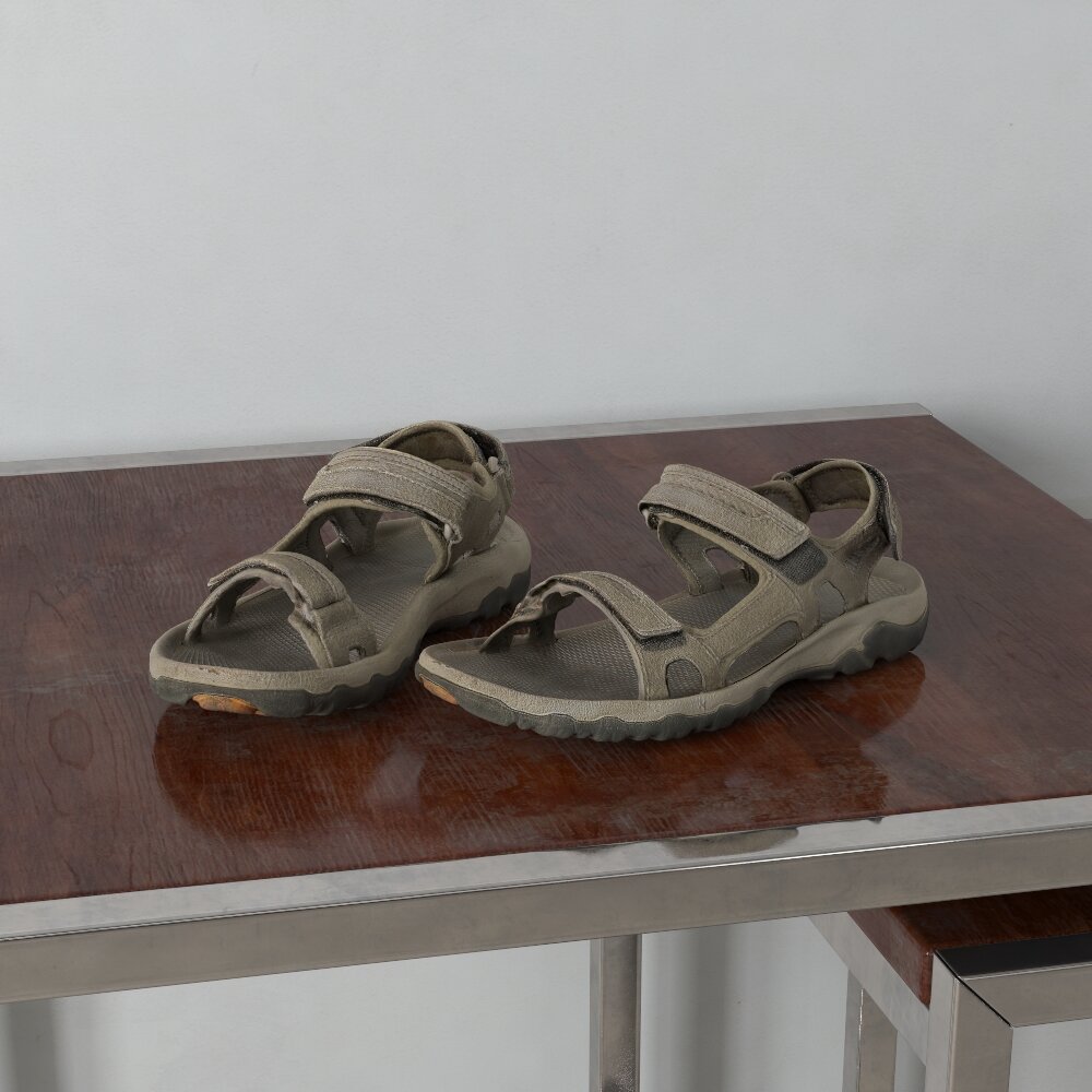 Pair of Outdoor Sandals 3d model