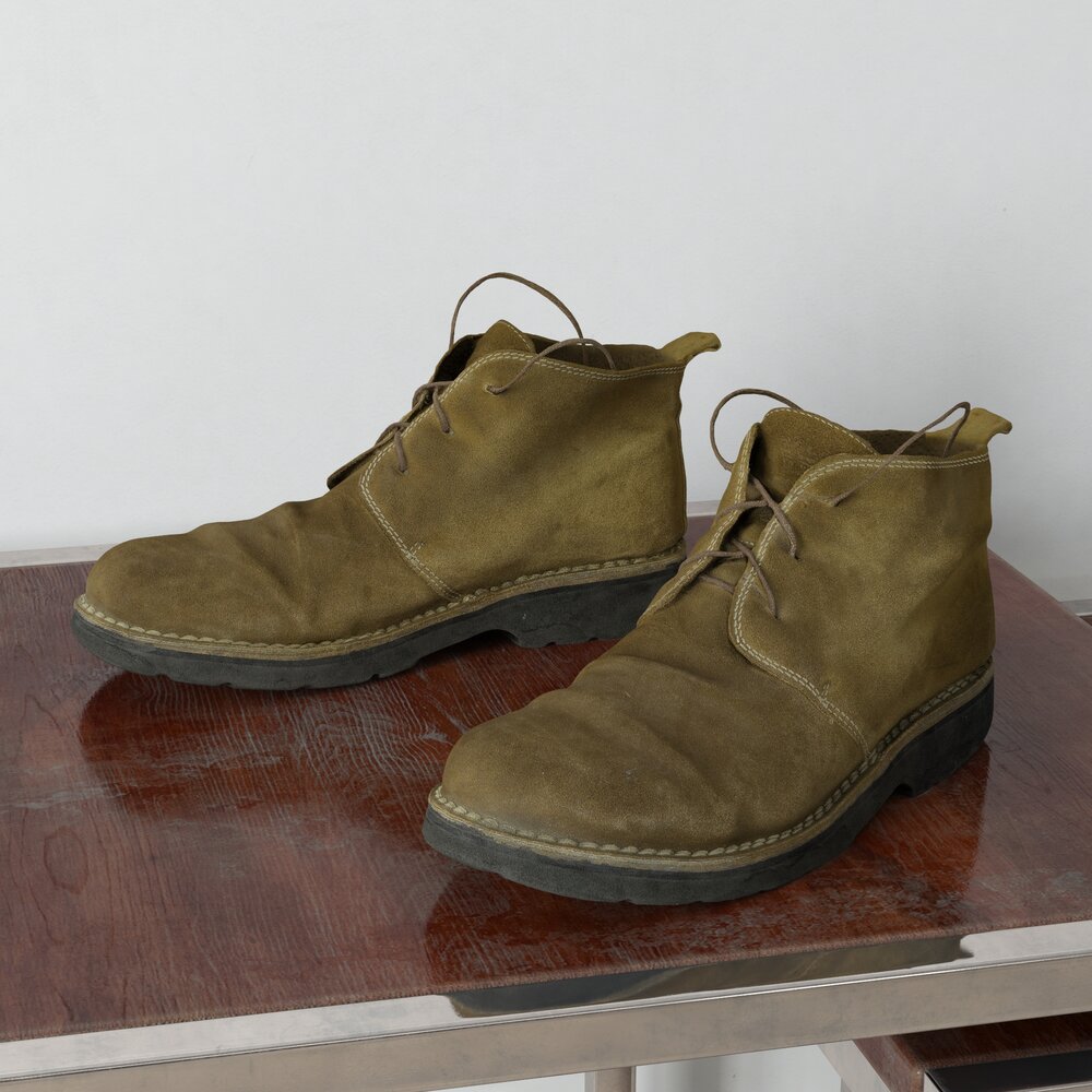 Desert Boots 3D模型