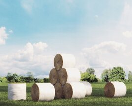 Stacked Hay Bales Modèle 3D