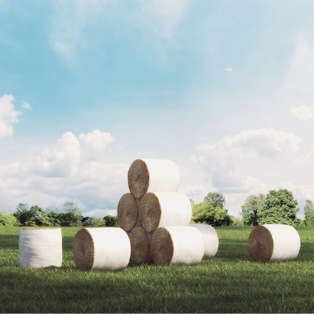 Stacked Hay Bales 3d model