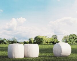 Baled Hay 3D-Modell