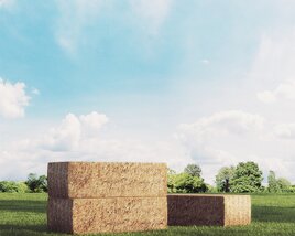 Hay Bales 3D-Modell