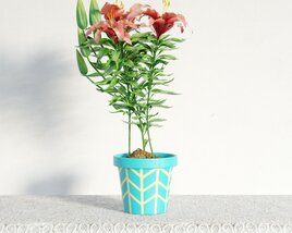 Potted Blooming Plant 3Dモデル