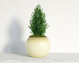 Round Pot with Green Plant 3D 모델 