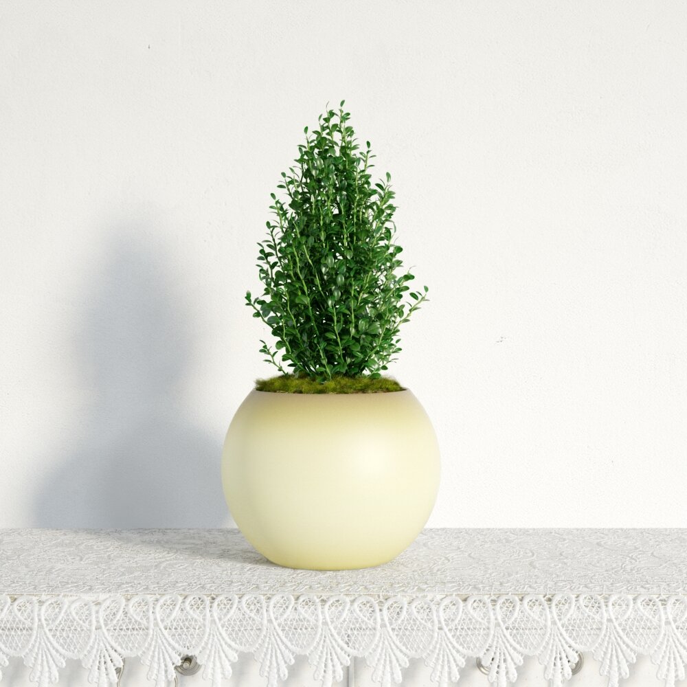 Round Pot with Green Plant 3d model