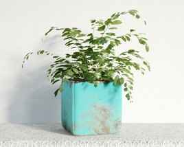 Verdant Indoor Plant 3D модель
