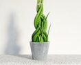 Spiral Lucky Bamboo Plant 3Dモデル
