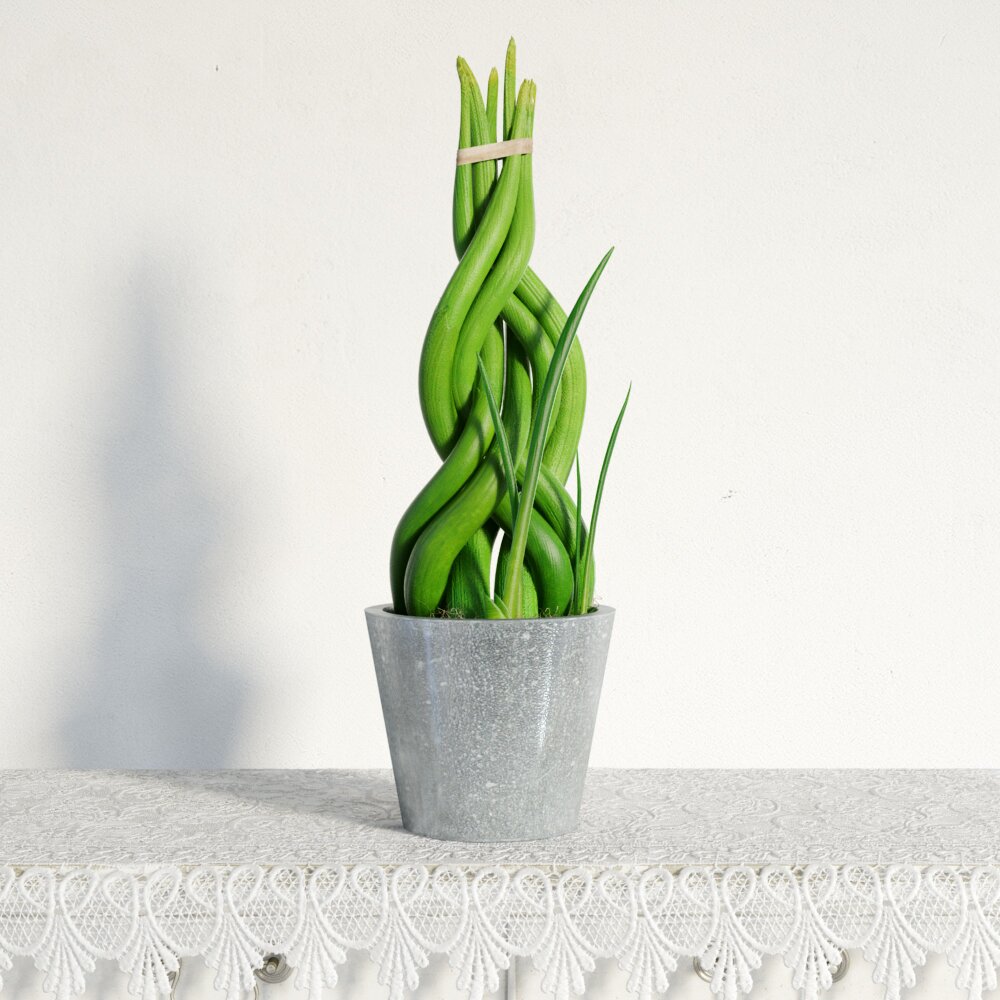 Spiral Lucky Bamboo Plant 3d model