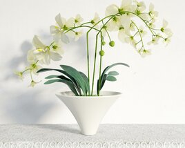 Orchid Flowers Modèle 3D