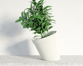 Potted Green Plant Modello 3D
