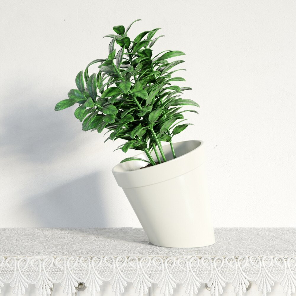 Potted Green Plant 3D 모델 