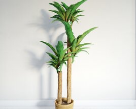 Decorative Potted Houseplant 3D-Modell