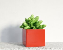 Red Pot with Green Plant 3D-Modell