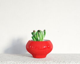 Red Succulent Planter Modèle 3D