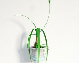 Potted Houseplant 02 3D модель