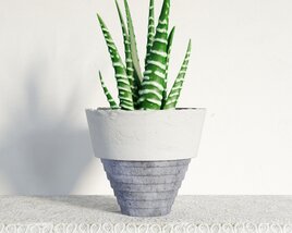 Serpentine Succulent in Planter Modèle 3D