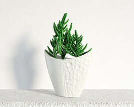 Green Succulent in White Pot Modelo 3d