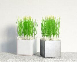 Modern Indoor Plant Decor 3Dモデル