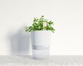 Modern White Planter with Lush Green Plant 3D模型