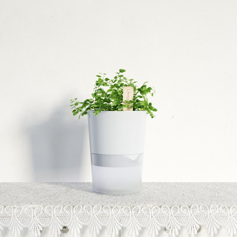 Modern White Planter with Lush Green Plant Modello 3D