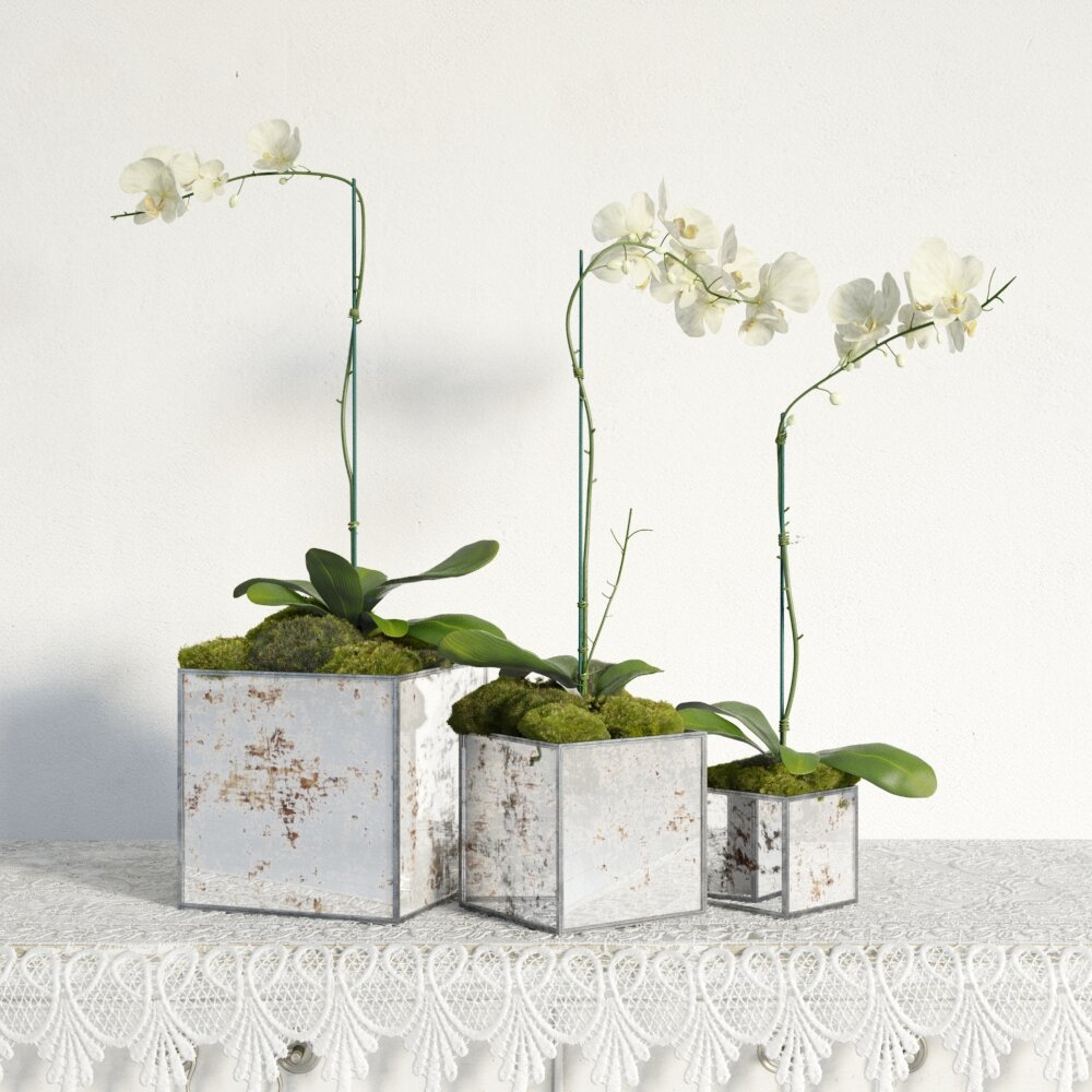 Orchid Flowers In Pot 3d model
