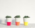 Colorful Potted Succulents Modelo 3d