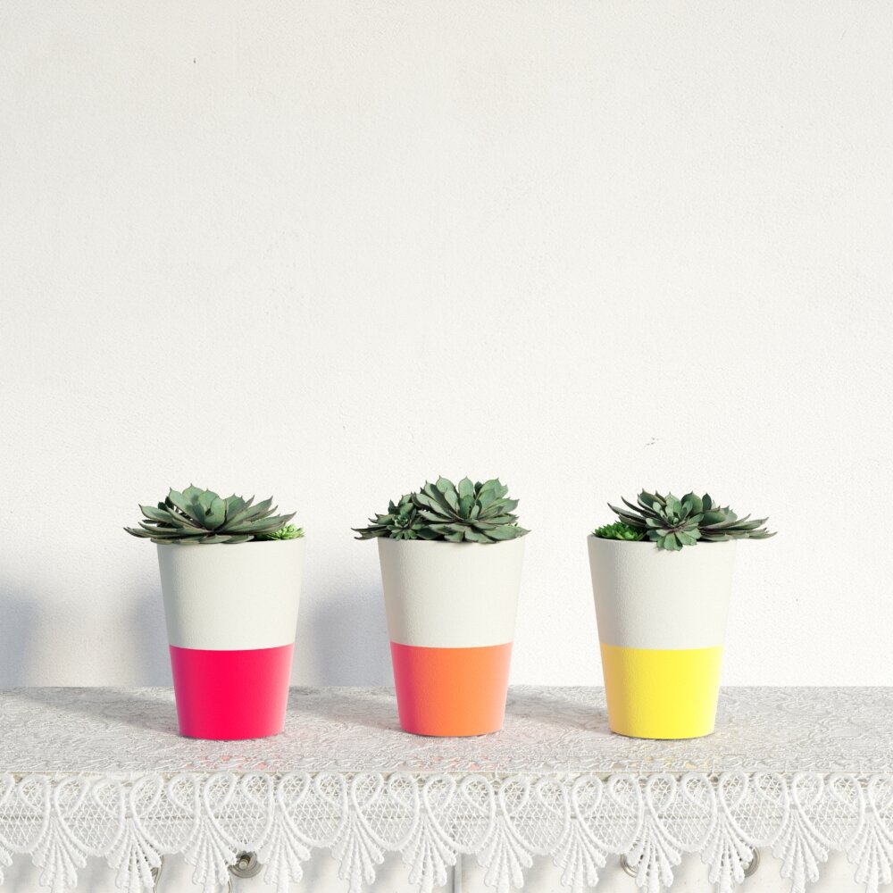 Colorful Potted Succulents 3D模型