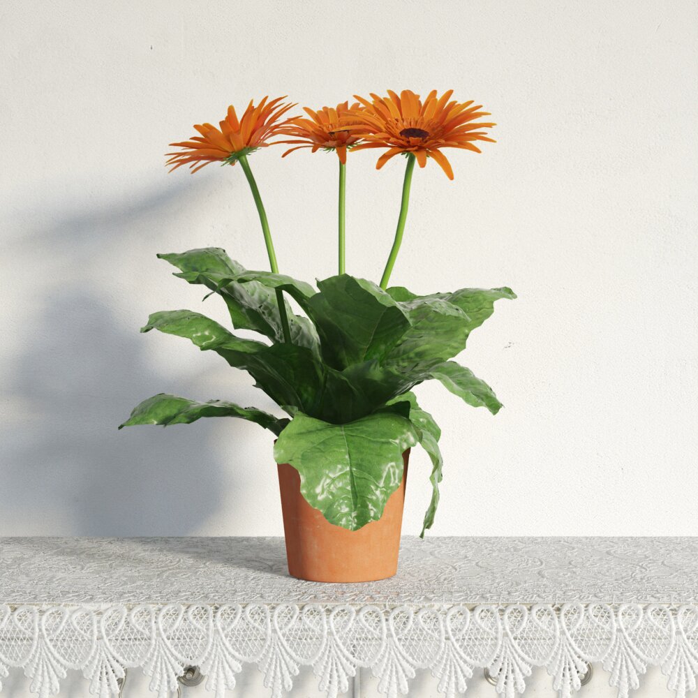 Orange Gerbera Daisy Potted Plant Modello 3D