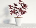 Potted Purple Foliage Plant 3D-Modell
