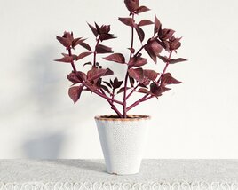 Potted Purple Foliage Plant 3D model