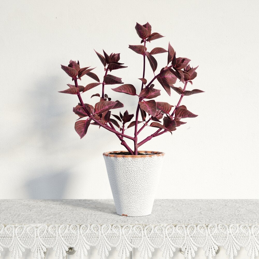Potted Purple Foliage Plant 3D-Modell