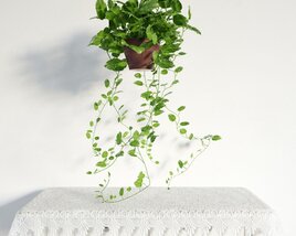 Lush Hanging Plant Display Modelo 3d