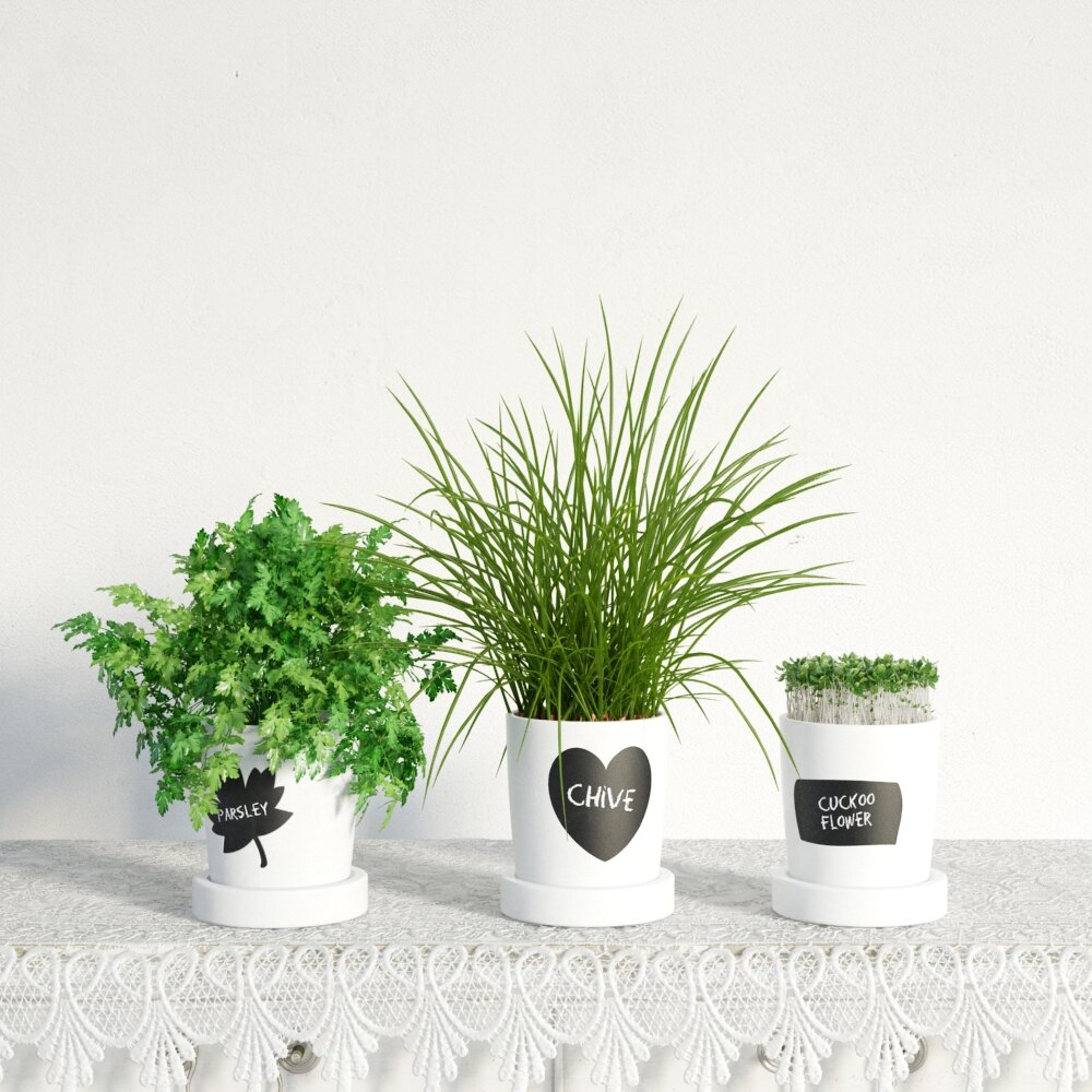 Assorted Potted Herbs 3D модель